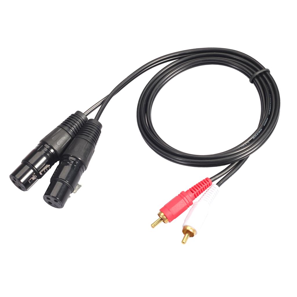 Hochwertiger XLR-RCA-Audiokabe – Rca Cable Bewertung und Preis