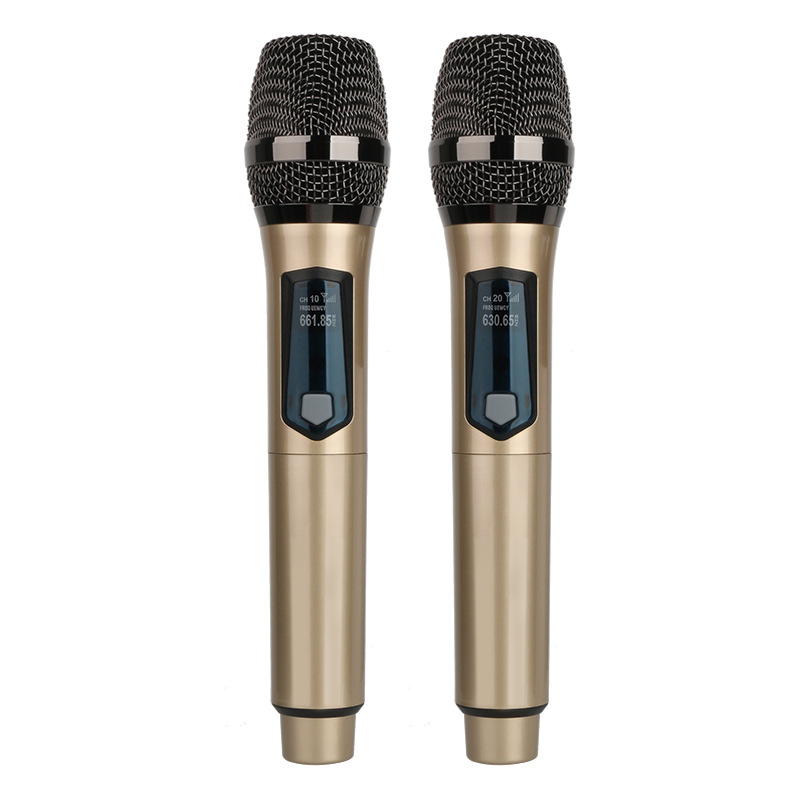 Drahtloses Mikrofon, 2 Kanäle, – Ribbon Microphone Bewertung und Preis