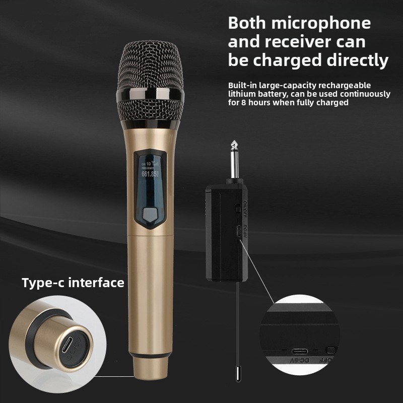 Drahtloses Mikrofon, 2 Kanäle, – Ribbon Microphone Bewertung und Preis