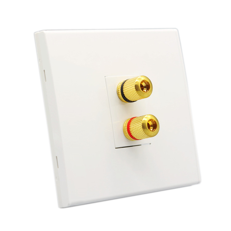 Audio Lautsprecher Wand Panel  – Speaker Terminal Bewertung und Preis