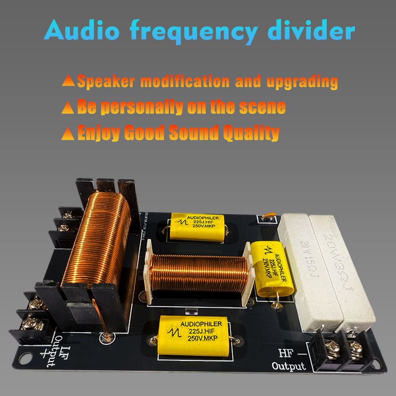 Audio-Frequenzteiler 800W 2-We – Speaker Crossover Bewertung und Preis