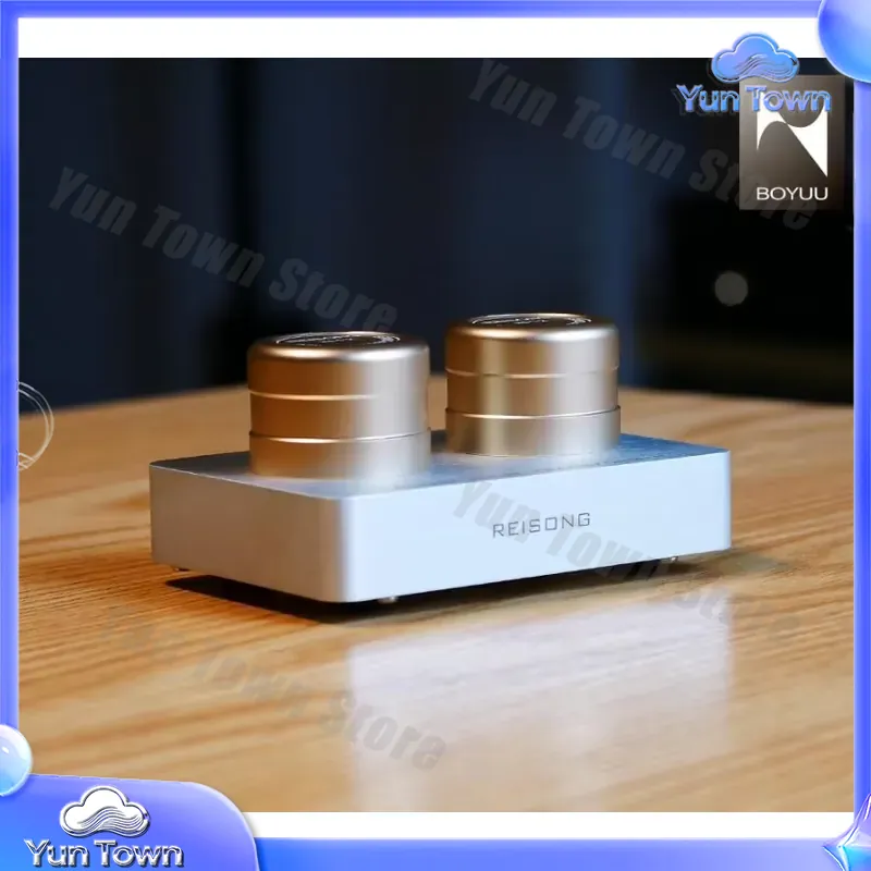 Für Boyuu BYPT2T für Reisong P – Passive Preamp Bewertung und Preis