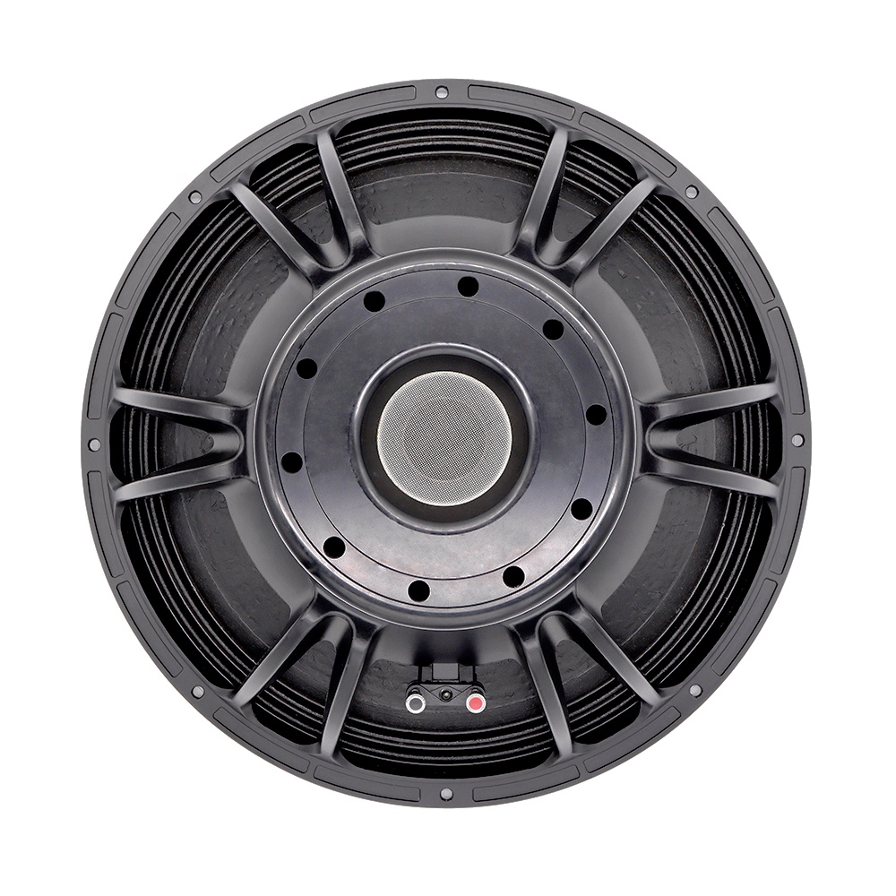 21'' Professionelles Audiosyst – Subwoofer Bewertung und Preis