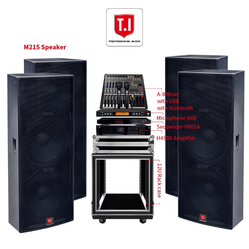 15-Zoll-Hochleistungs-Fullrang – Full Range Speaker Bewertung und Preis