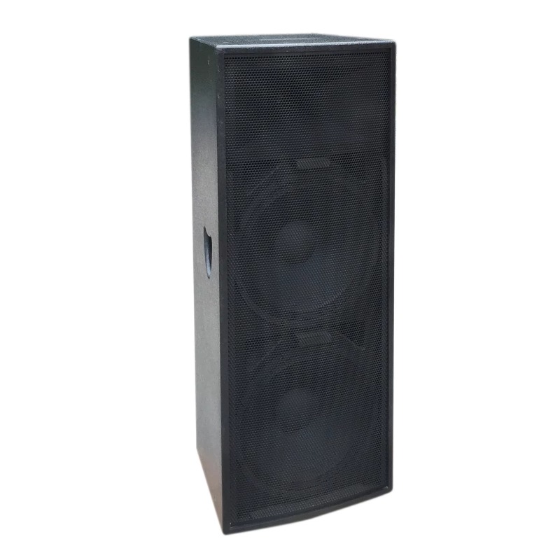 15-Zoll-Hochleistungs-Fullrang – Full Range Speaker Bewertung und Preis