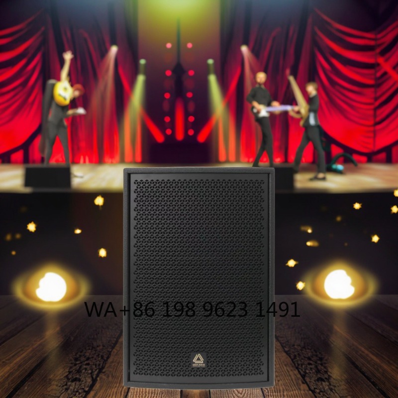 Hochleistungs-Fullrange Profes – Full Range Speaker Bewertung und Preis