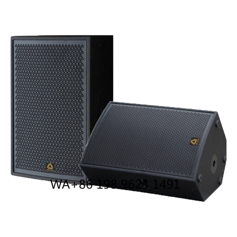 Hochleistungs-Fullrange Profes – Full Range Speaker Bewertung und Preis
